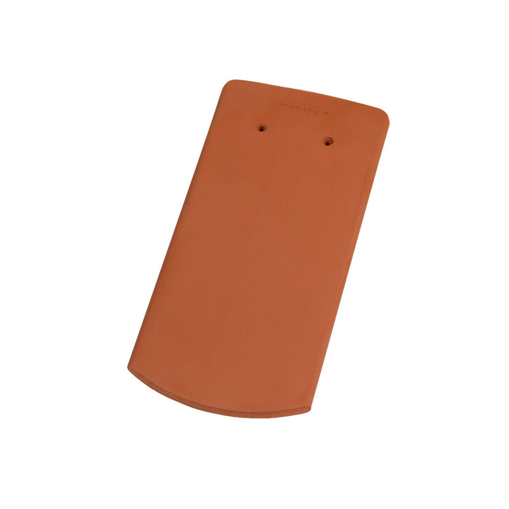 Biber Segmentschnitt