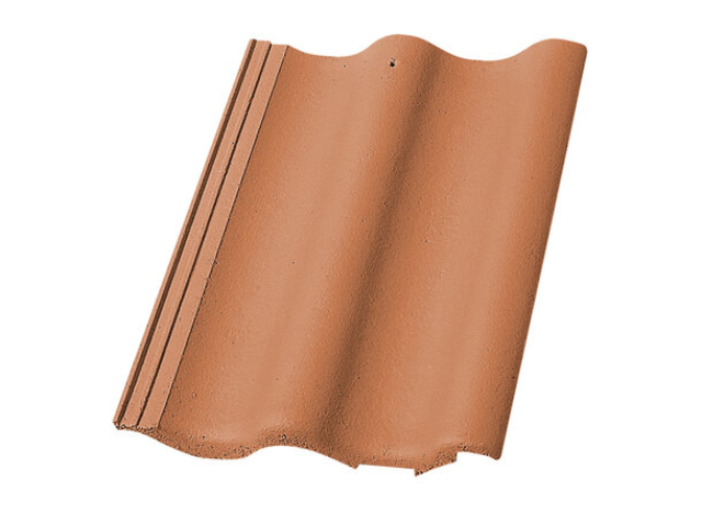 SicherheitsDachstein Max