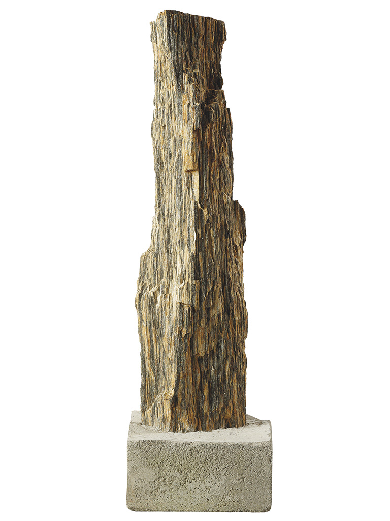 Gneis-Stele, Silber-Pappel