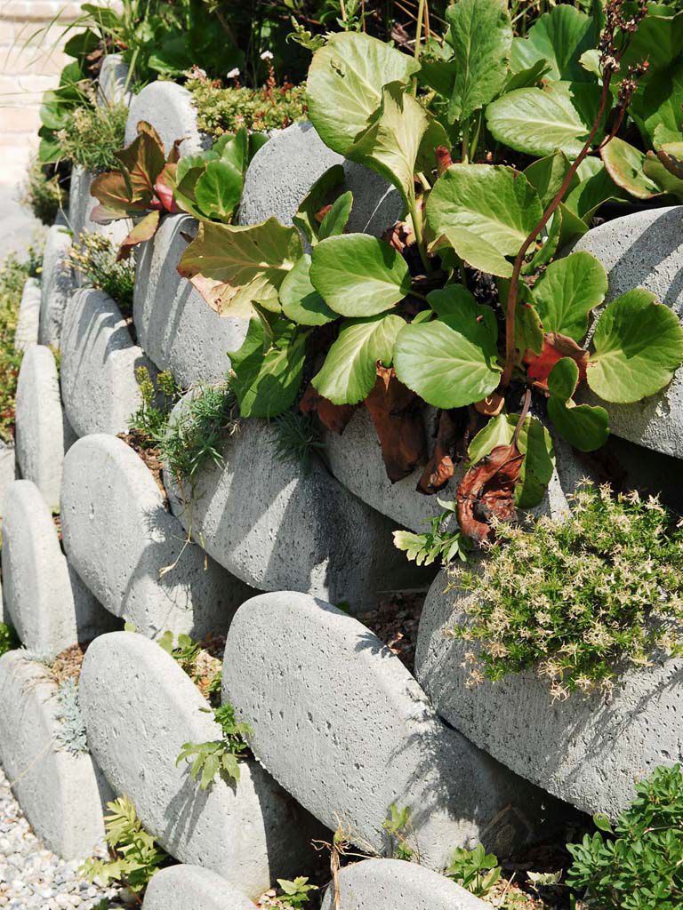 Zwerglöffelstein	Grau