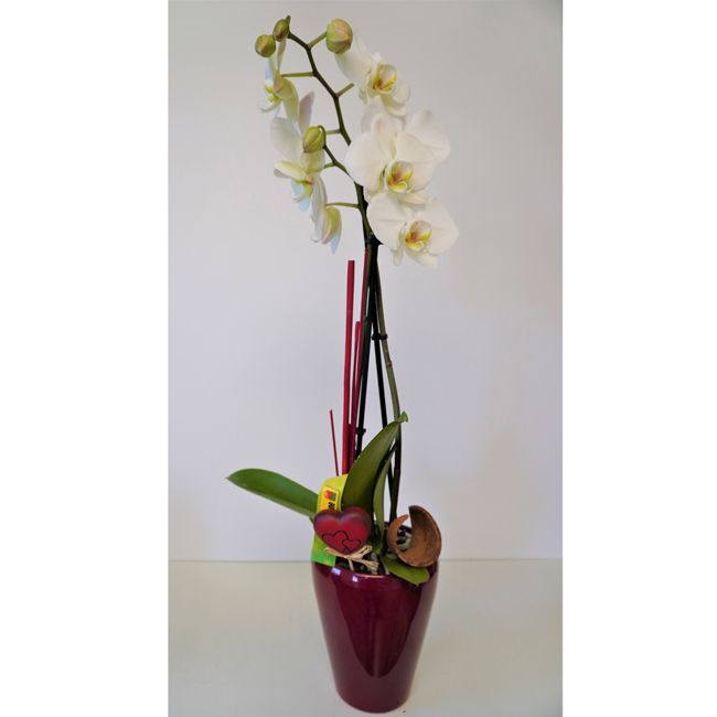 Hochtopf weinrot 14 cm