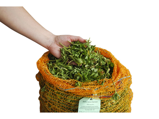 Zinco Sedumsprossen mischung aus mind. 4 verschiedemem Arten