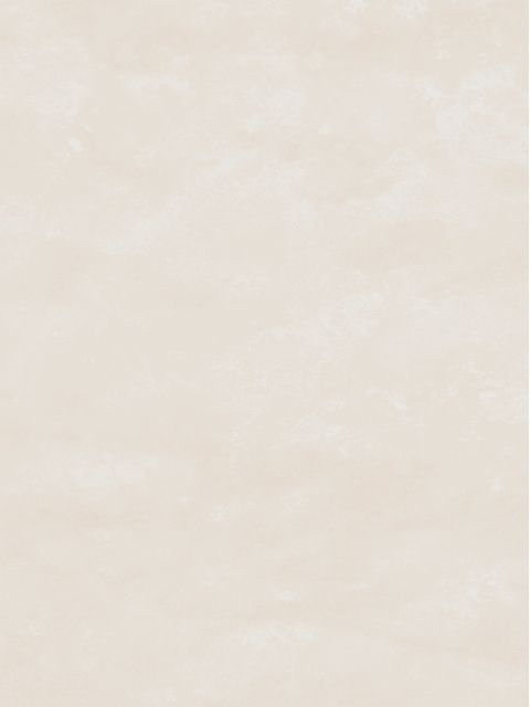 Artikelbild STL Wdfl Verdana beige