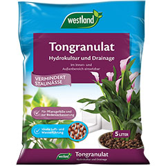 westland Tongranulat